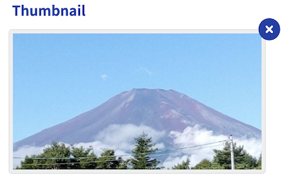 Thumbnail setting