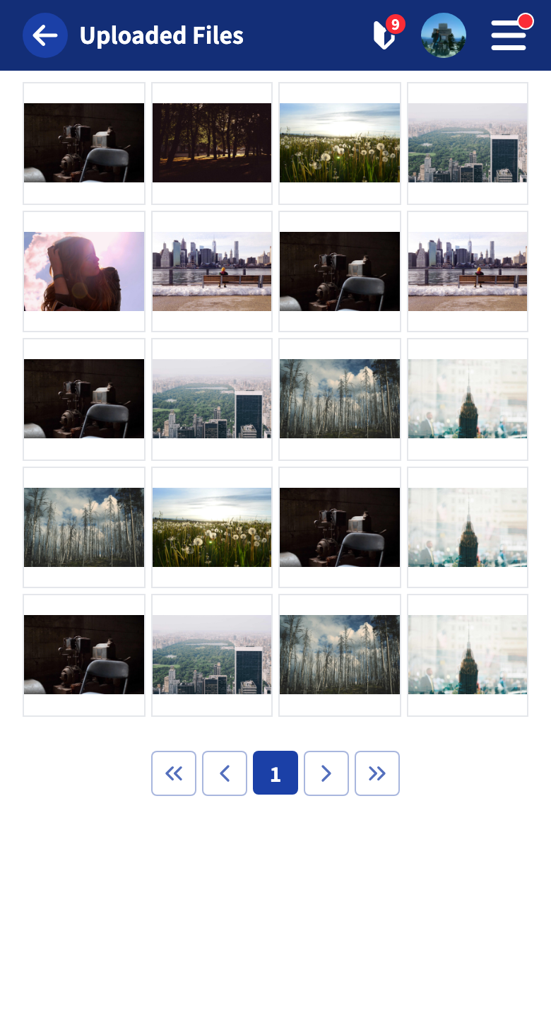 The file list